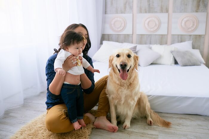 The Hygiene of Keeping Pets and Its Impact on Newborn Babies